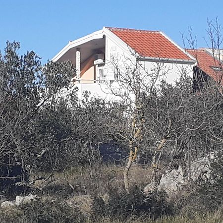 Villa Palfi Jezera Eksteriør bilde