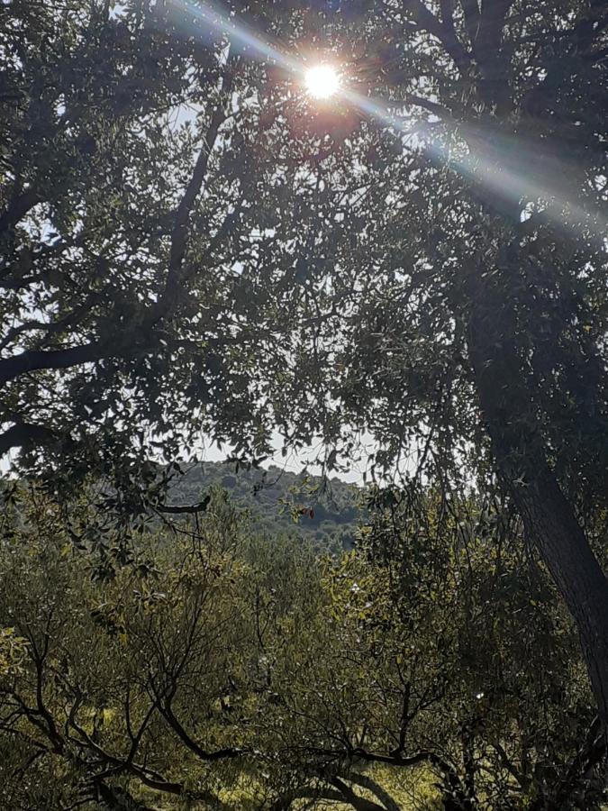 Villa Palfi Jezera Eksteriør bilde